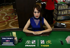 Rồng Hổ